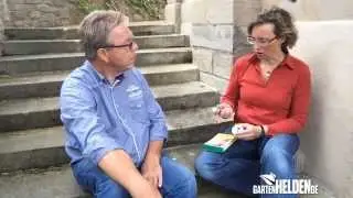 gartenHELDEN.de Experteninterview mit Sabine Klingelh&ouml;fer zum Thema Ameisen