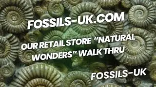 A walk through of our retail store 