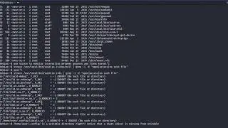 Linux Privilege Escalation - SUID (Shared Object Injection)