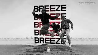 SKAMIX - SETUP [BREEZE]