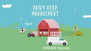 Dairy Herd Management