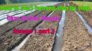 Rice field converted to vegetable farm step by step (season 1 part 3) making flat