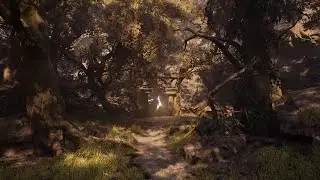 Проект Elderwood | Создание мира с помощью Houdini и Unreal
