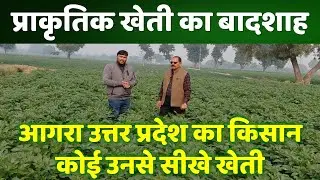 आलू की फसल के बादशाह से जानिए प्राकृतिक खेती जनपद आगरा