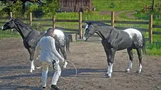 John Marston Steals Beautiful Appaloosa Blanket Horses at Emerald Ranch | RDR2 Wild Horse Adventure
