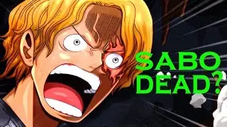 THEORY CONFIRMED: The Shichibukai System Is Abolished - One Piece Chapter 956 Review