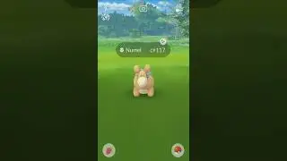 Shiny Numel Pokemon Go Fest 2022