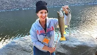 Trout Fishing Southern California   Bishop CA   Pleasant Valley Reservoir