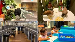 Visiting Australian museum with kids - Sydney