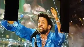 SHAGGY Live la Electric Castle#11