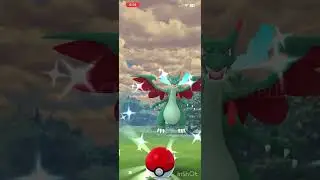 Wild Shiny ✨ CHARIZARD ✨