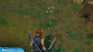 Plant Saplings at Stumpy Ridge, Fork Knife Food Truck, or FN Radio All Locations - Fortnite