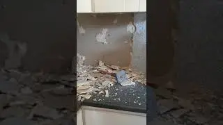 Enlever des carreaux de faïence sans abîmer le placo. LA méthode infaillible