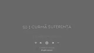 C&acirc;nd strigă un nenorocit - Chibici Music
