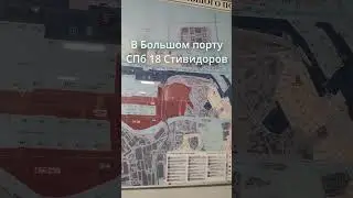 Стивидорные компании Санкт-Петербурга