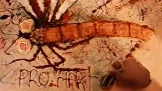 Pro Hart Carpet Advertising