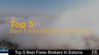 Best Forex Brokers In Estonia📈