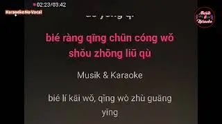 Bie Li Kai Wo 别离开我 - Karaoke No Vocal