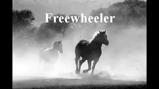Ausbruchstrading mit Freewheeler