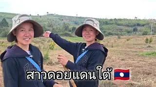  สาวลาวยี้มหวานมาก ขวัญใจผู้บ่าวไทยหลายคน สาวสวนทุเรียน 🇱🇦. #สาวนิดพาชม🇱🇦