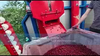 Hudson sour cherry harvester Dom-Wid Kombajn do zbioru wiśni kombajn do zbioru śliwek jabłek