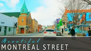 [ 4K Video ] Small Cozy but Beautiful Montreal Street