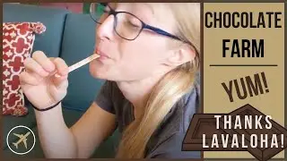 Where Does CHOCOLATE Come From? (Chocolate Farm Tour)
