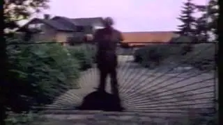 Vikingarnas hund - Västgötaspetsen