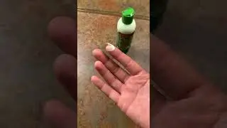ORS Olive Oil Moisturizing Hair Lotion Honest Review