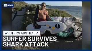 WA Windsurfer Survives With Bitten Board After Great White Shark Attack | 10 News