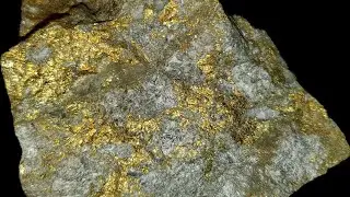 High Grade Gold & Copper Kuroko VMS Ore - Mineral Specimen Assay Result! (Ep.#4)