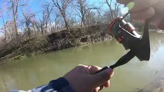 Unexpected catch while fishing for white bass #fishing #whitebass #atx #granger #sangabriel