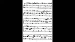 Hoffmeister viola concerto in D major - 2nd movement: ADAGIO - piano accompaniment for practice