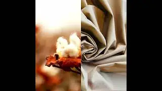 Our premium fabrics are made from 100 extra long staple cotton fibers for unmatched performance.