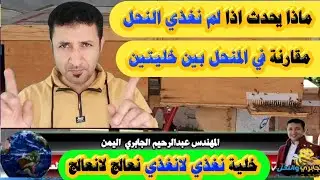 شاهد ماذا يحدث اذا لم نغذي خلية النحل او نكافح الامراض