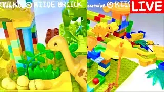 Satisfying Marble Run Race | Dinosaur & Animal Blocks ASMR🦖🌋