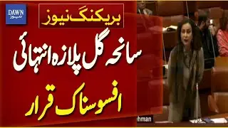 Senator Sherry Rehman Speech on Gul Plaza Tragedy | Breaking News | Dawn News