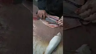 From River to Fillet &ndash; Trout Cleaning and Filleting Tips
