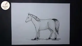 How to Draw a Horse Easy Step by step