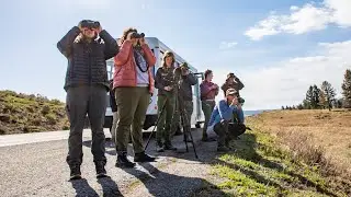 Yellowstone Forever Institute