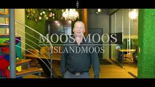 MOOS&bull;MOOS - About Islandmoos / Rentiermoos / Flechte 4K 2024