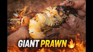 Relaxing Jungle Cooking &ndash; Burning Giant Prawn Over Fire