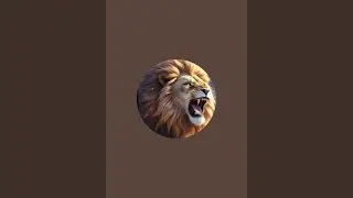 funny YouTube channels  is live!