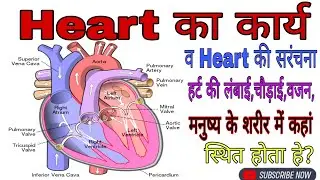Defination of heart॥Structure of the heart॥#trandibg#structureofheart॥#upboardexam2023 #10thclass