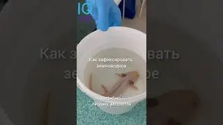 Как зафиксировать земноводное