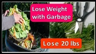 1 महीने में 10kg घटाये, NO DIET-EXERCISE, Lose 20 lbs with GREEN JUICE, Detox your Belly fat