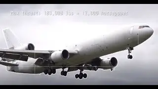 Meet the Western Global Airlines MD-11F