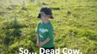 Azaxyr 2010 : The Paddock Movie