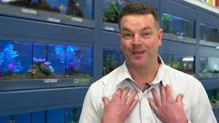 CLIENT TESTIMONIAL | PetStock (SA stores now part of PETstock Group)