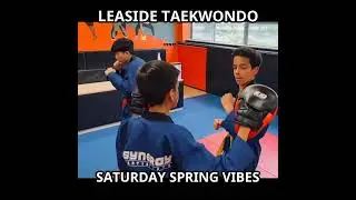 Leaside Taekwondo School - Best Kids Martial Arts In Leaside